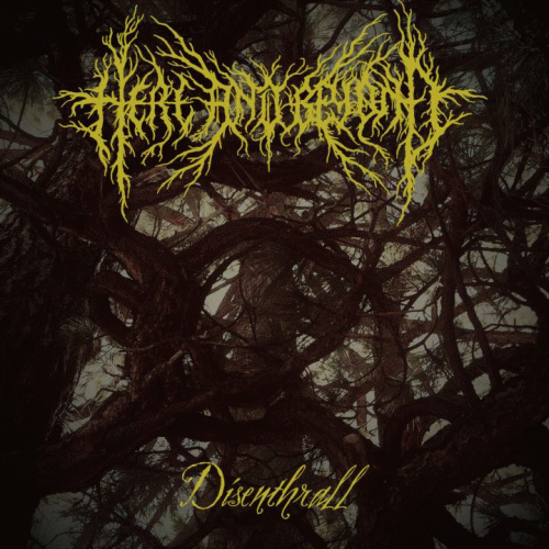 Here And Beyond : Disenthrall